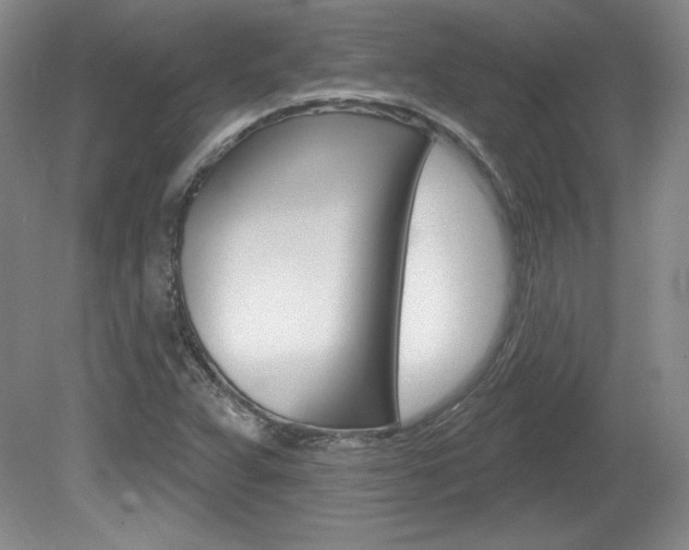 X0000080101359200612080918