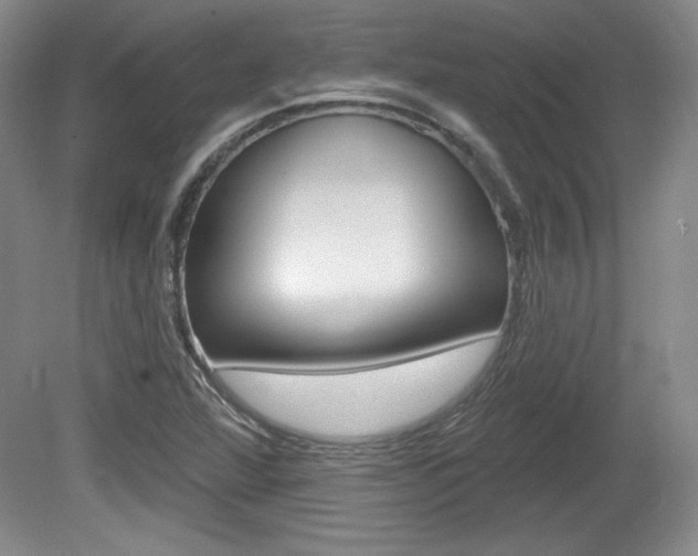 X0000080101360200612080918