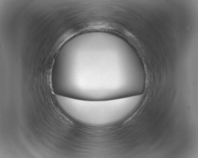 X0000080101361200612080918