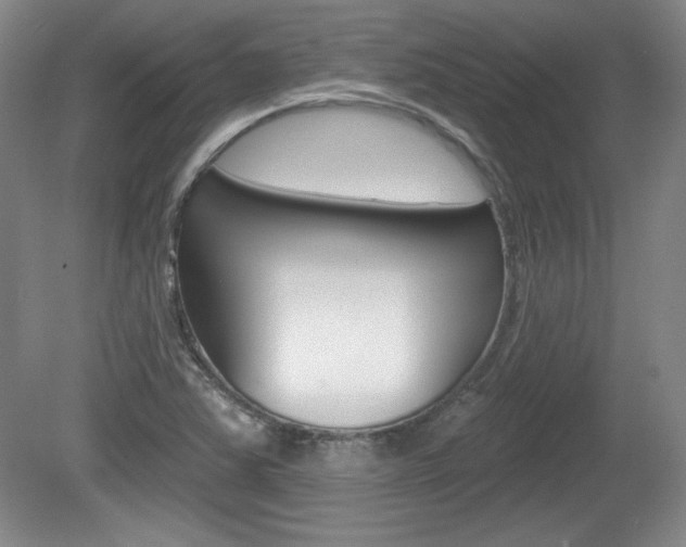 X0000080101363200612080918