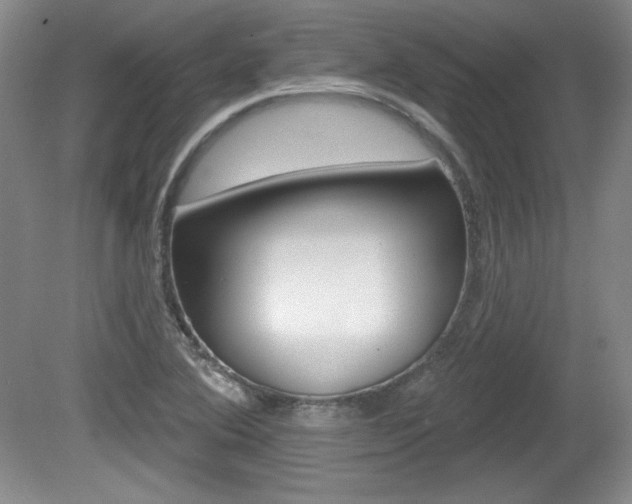 X0000080101364200612080918