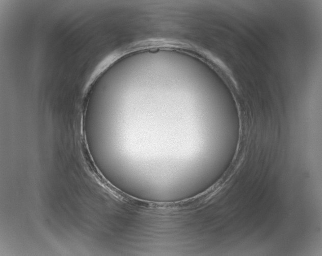 X0000080101365200612080918