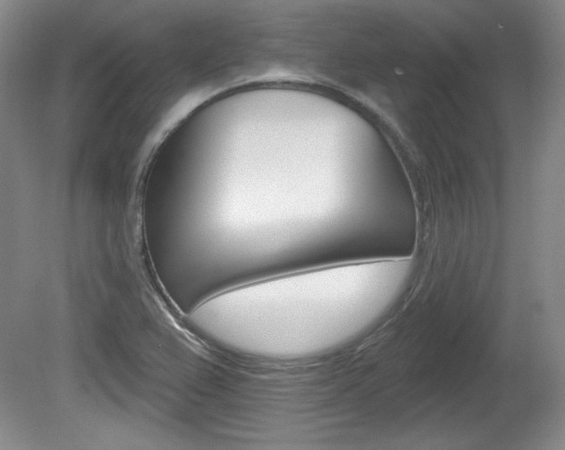 X0000080101367200612080918