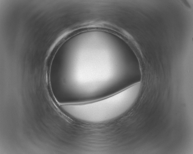 X0000080101368200612080918
