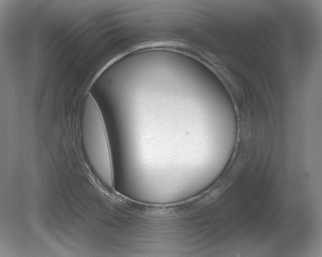 X0000080101369200612080918