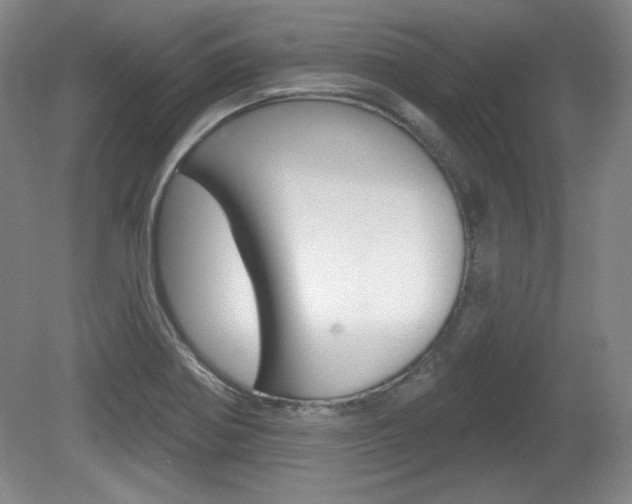 X0000080101370200612080918