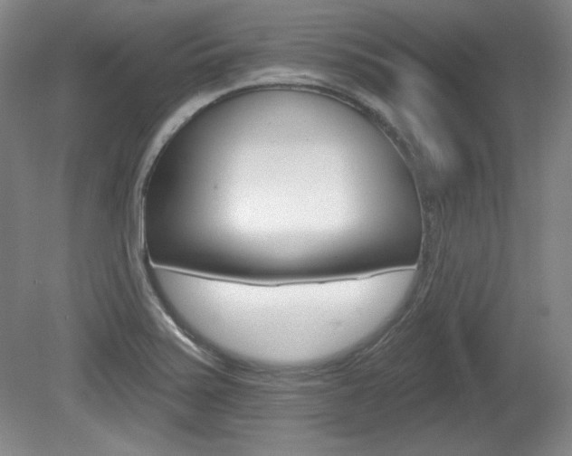 X0000080101371200612080918