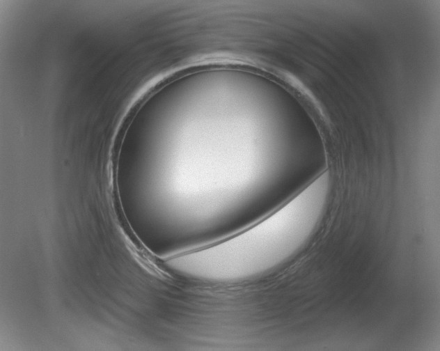 X0000080101372200612080918