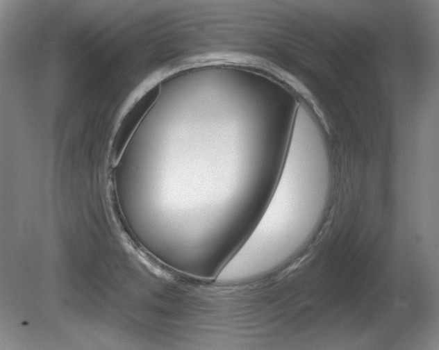 X0000080101373200612080918