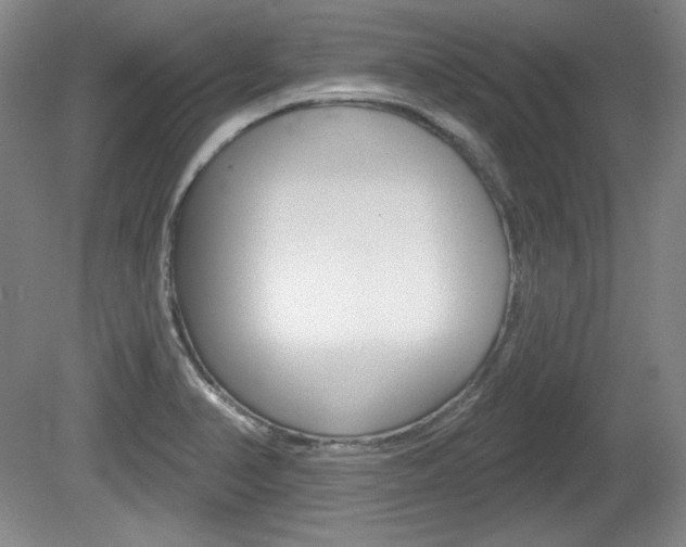 X0000080101374200612080918
