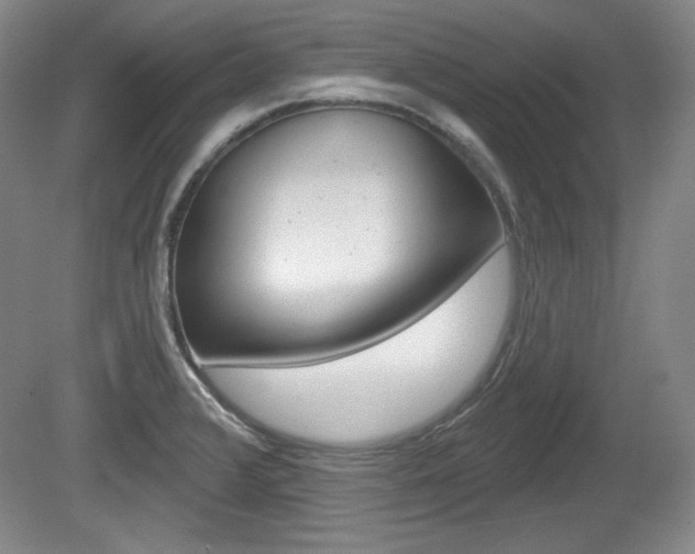 X0000080101376200612080918