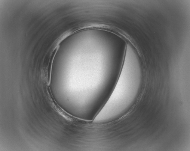 X0000080101377200612080918