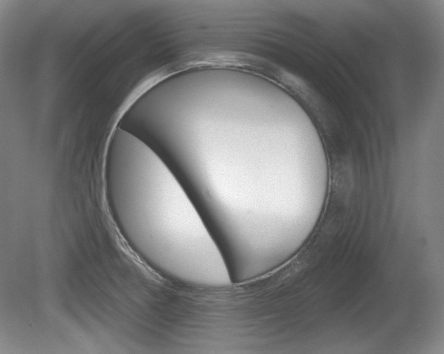 X0000080101378200612080918