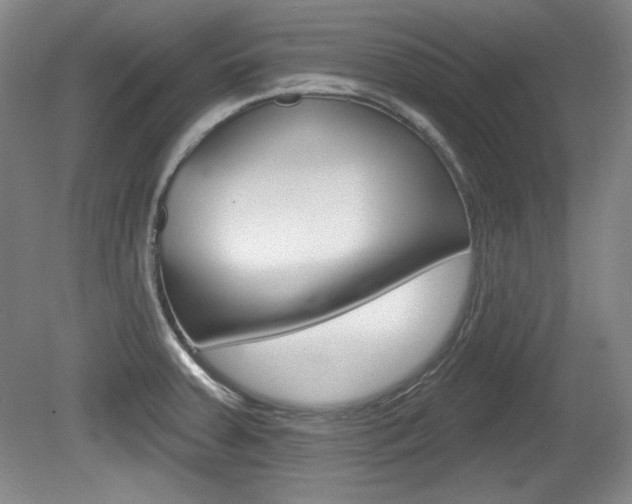 X0000080101379200612080918
