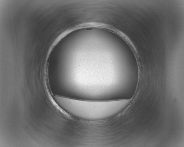 X0000080101381200612080918