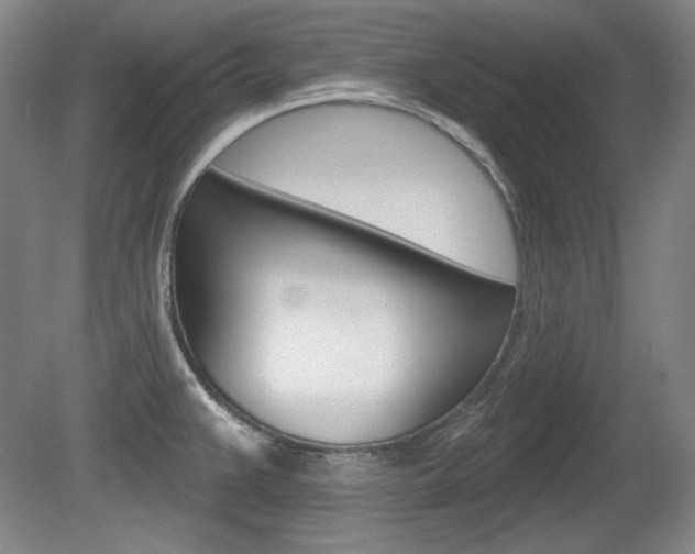 X0000080101383200612080918