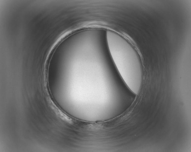 X0000080101384200612080918