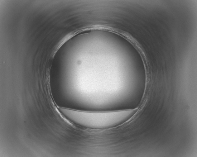 X0000080101385200612080918
