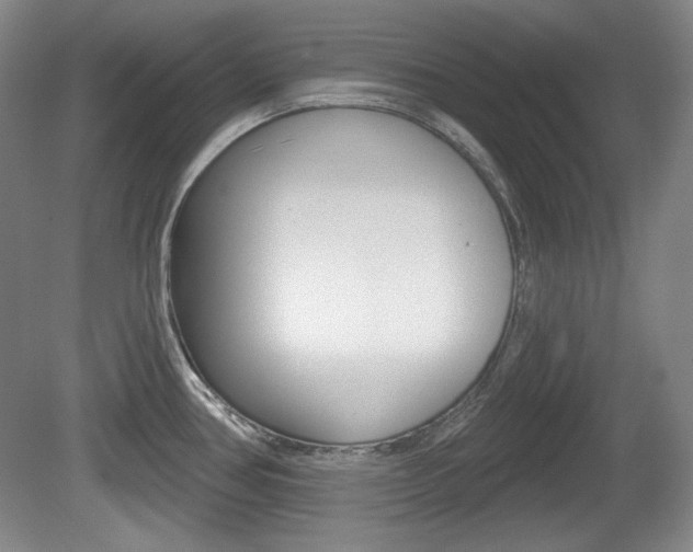 X0000080101386200612080918