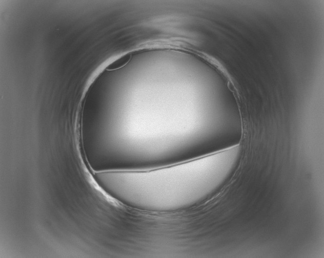 X0000080101387200612080918
