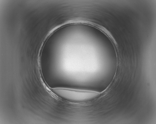 X0000080101388200612080918