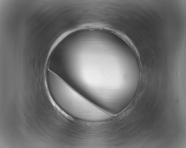 X0000080101389200612080918