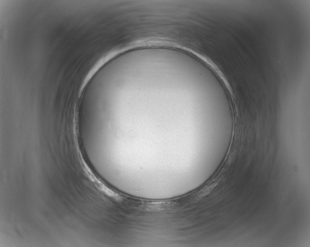 X0000080101390200612080918