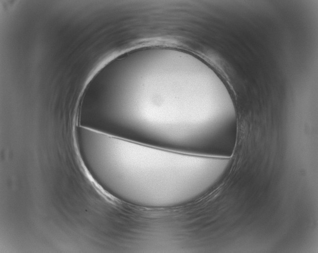 X0000080101391200612080918