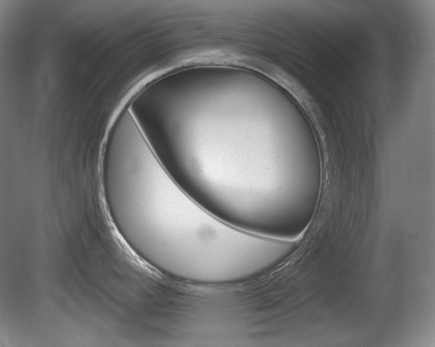 X0000080101392200612080918