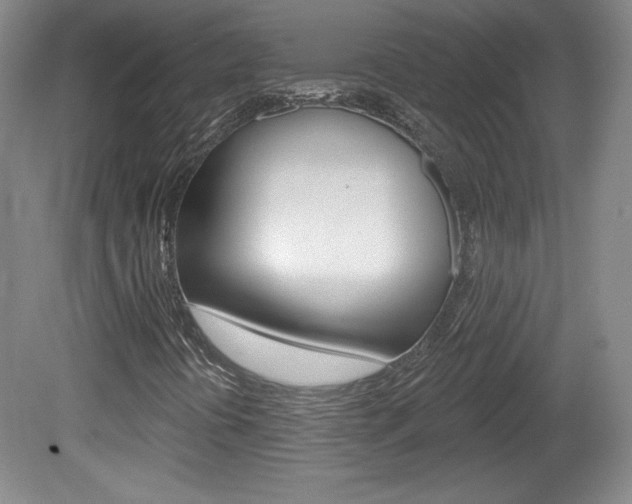 X0000080101394200612080917