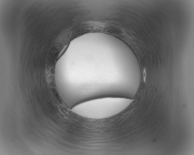 X0000080101395200612080917