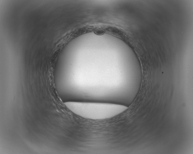 X0000080101397200612080917