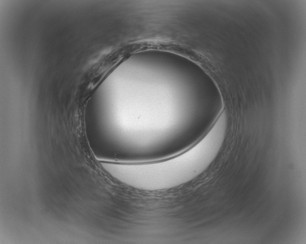 X0000080101398200612080917