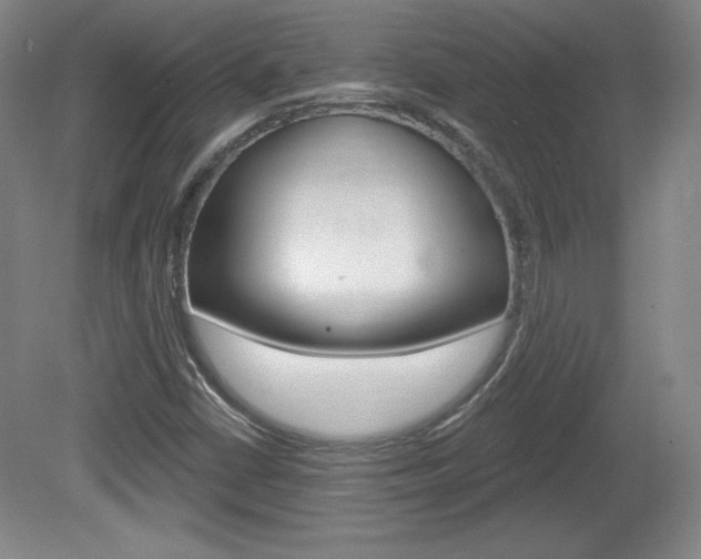 X0000080101402200612080917