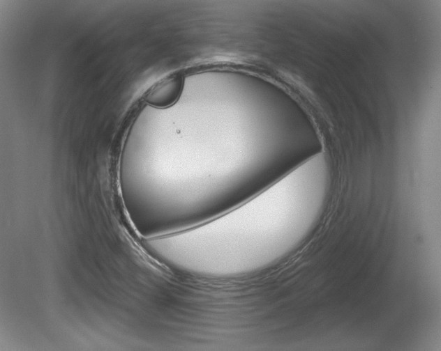 X0000080101404200612080917