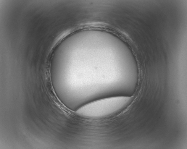 X0000080101405200612080917