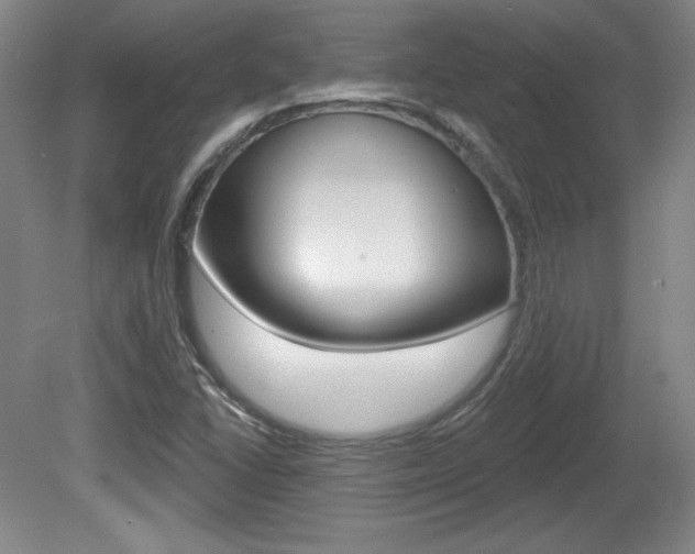 X0000080101406200612080917