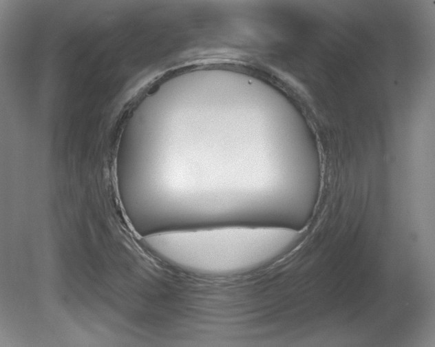 X0000080101407200612080917