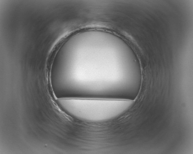 X0000080101408200612080917