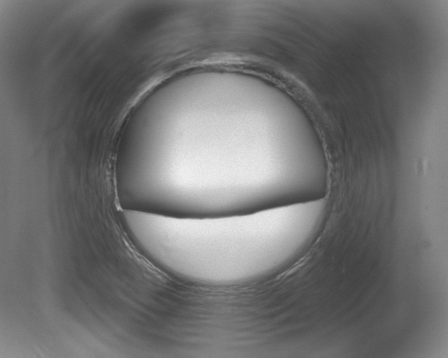 X0000080101409200612080917