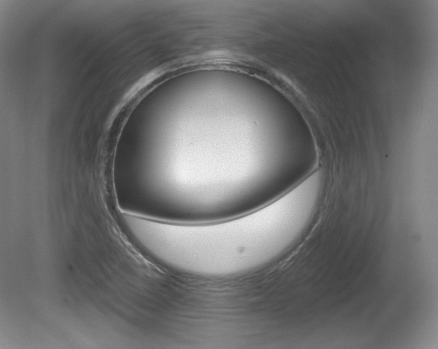 X0000080101410200612080917