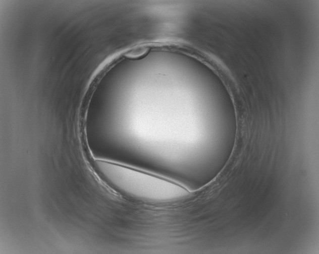 X0000080101412200612080917