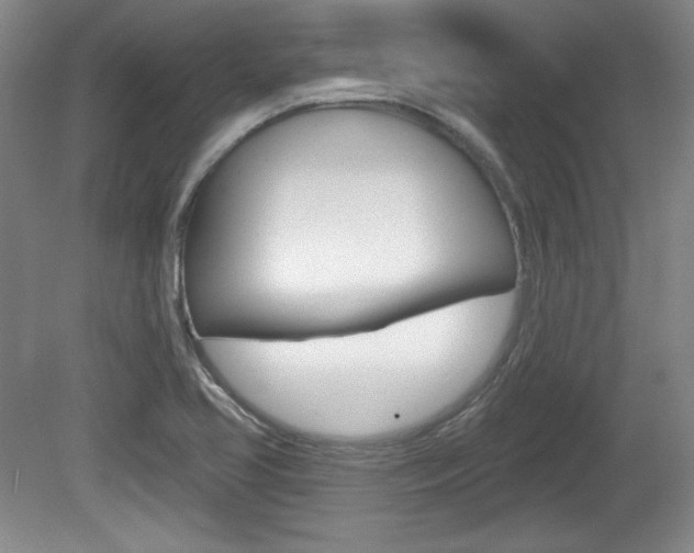 X0000080101413200612080917