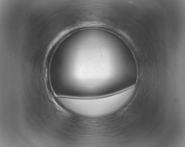 X0000080101414200612080917