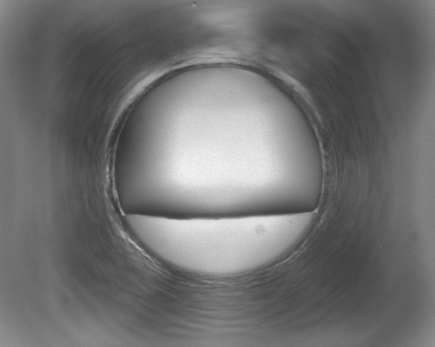 X0000080101415200612080917
