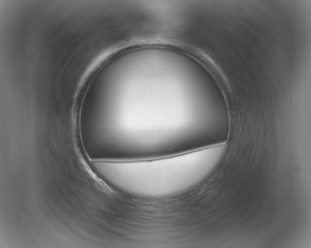 X0000080101416200612080917