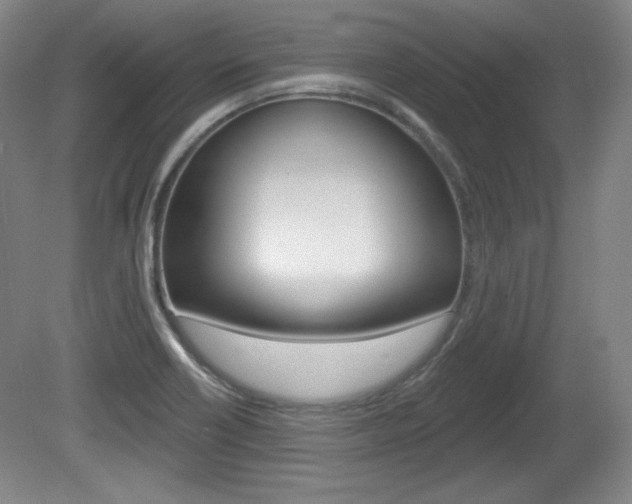X0000080101418200612080918