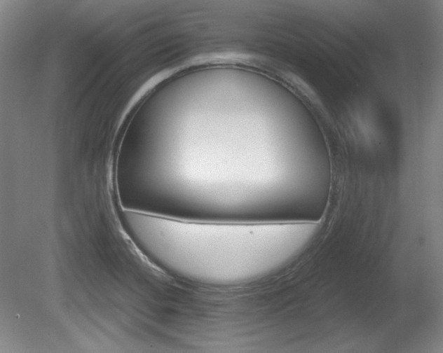 X0000080101420200612080918