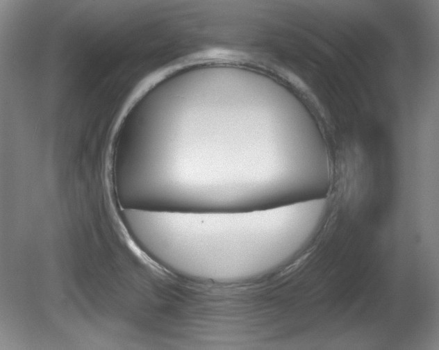 X0000080101421200612080918