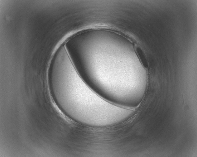 X0000080101422200612080918